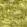 swatch color Boucle, Chartreuse