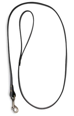 Dog Leash