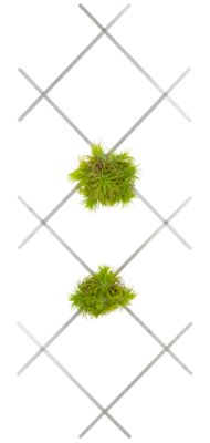 Expandable Trellis - Large
