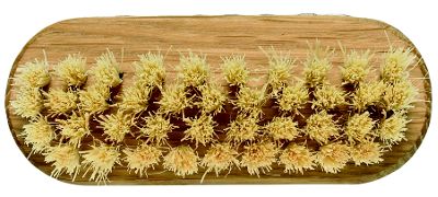 Nail Brush