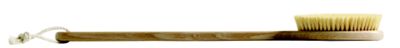 Bath Brush with Handle - 21