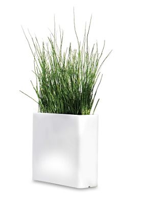 Vaso Rettangolare