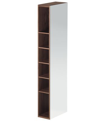 Container Gyrating Cabinet with Mirror