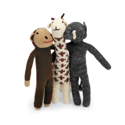 Alpaca Wool Animal