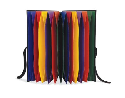 Accordion Storage Folder