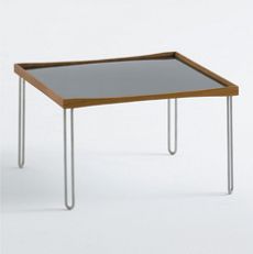 Tray Table with Reversible Tabeltop