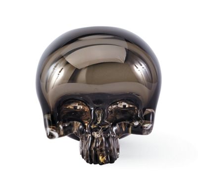 Gold Front Skull