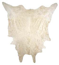 Cowhide Rug