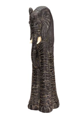 Medium Pachyderm of Benue
