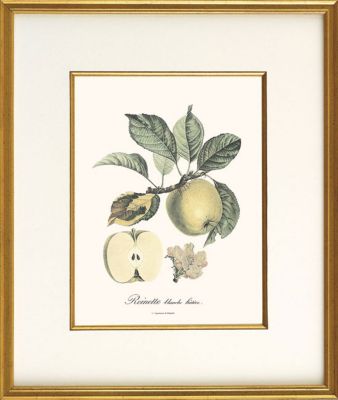 Reinette