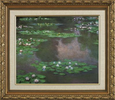 Water Lilies 1