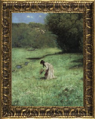 Meadow in the Wood