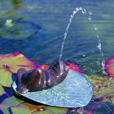 Darn Frog on Lily Pad Bronze Garden Sculpture