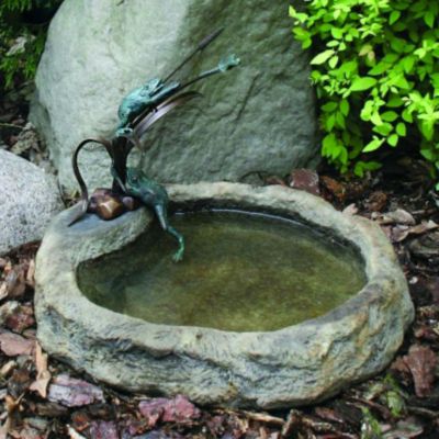 Frogs and Dragonfly with Basin Bronze Garden Sculpture: Lava