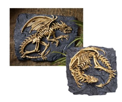 Dragon Fossil Relics Wall Sculptures <br>(Set Includes: Draco Alaris & Draco Cauda)
