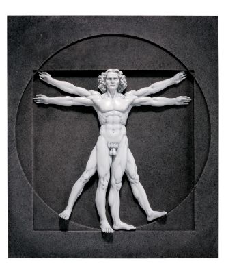 Vitruvian Man Wall Sculpture