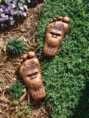 Big Foot Sculptural Print Casting
