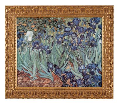 Irises: Classic Art Reproduction (Medium)