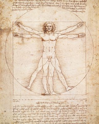 Vitruvian Man Classic Art Reproduction (1492) - Large