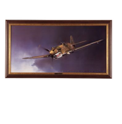 The Fighter Planes of World War II: Tiger