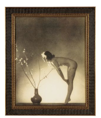 Deco Folio: Fragrance Canvas Art Reproduction