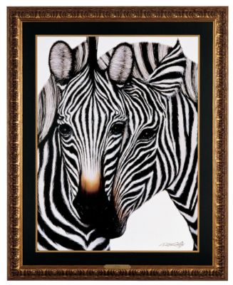 Zebras Framed Print Under Plexiglas - Large