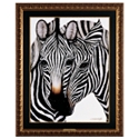 Zebras Framed Print Under Plexiglas - Medium