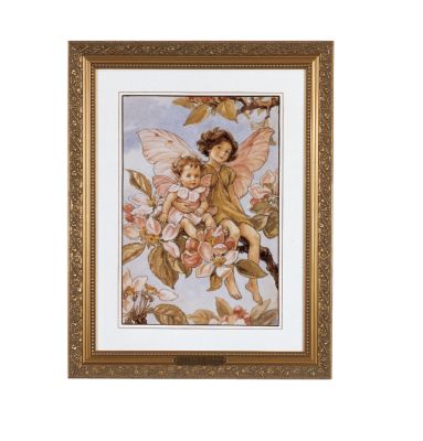 Flower Fairies : Apple Blossom Fairy
