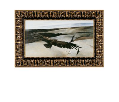 Soaring (1950)