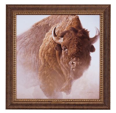 Chief Fine Art Print