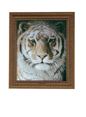 Tiger Portrait