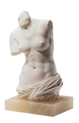 Venus Marble Torso Study - Small