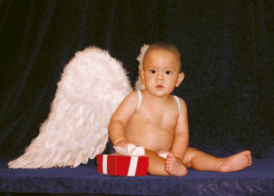 Heavenly Feathered Cherub Wings