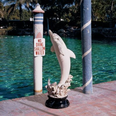 Leap of the Dolphin Sculpture