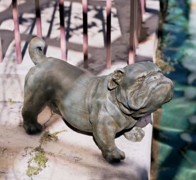 Brutus, the English Bulldog Sculpture