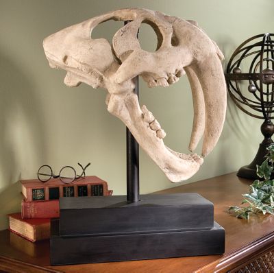 Saber-toothed Tiger Skull Artifact