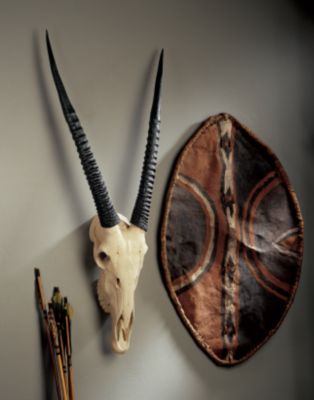 Gemsbok African Wall Trophy