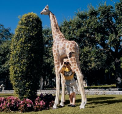 Mombasa, the Garden Giraffe Statue