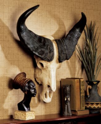 African Cape Buffalo Trophy