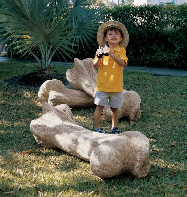 Gigantic Dinosaur Bone Sculpture