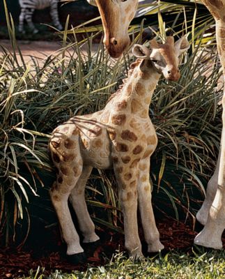 Gamila (Baby Giraffe Statue)