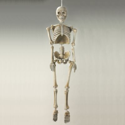 Jointed Hanging Skeleton