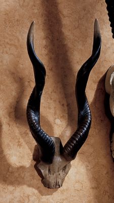 Kudu African Wall Trophy - Set of Two