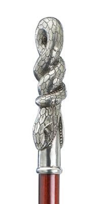 Snake Walking Stick
