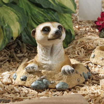 Kalahari Meerkat Statues: Out of Hole