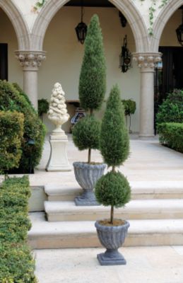 Classic Topiary Tree Collection - Large