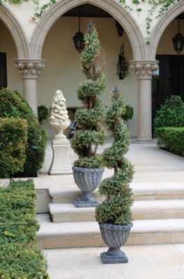 Spiral Topiary Tree Collection - Small