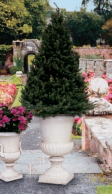 Ch&acirc;teau Elaine Authentic Iron Urn - Large