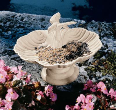 Victorian Cast Iron Shell Font