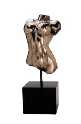 Nude Torso Sculptural Studies: Female
